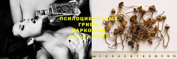 твердый Майский