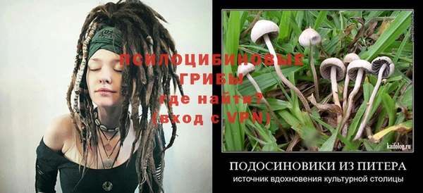 соль курить ск Липки