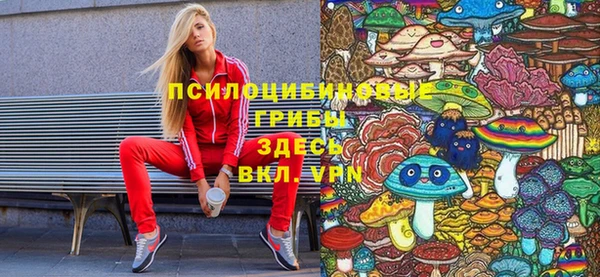 ешки Магас