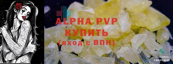 apvp Магадан